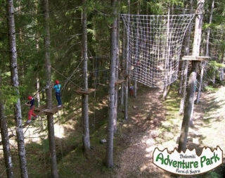 Piattaforme tra gli alberi